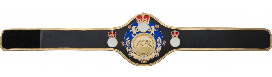 QUEENSBURY PRO LEATHER GRAPPLING CHAMPIONSHIP BELT -QUEEN/BLUE/G/GRAPG-10+ COLOURS